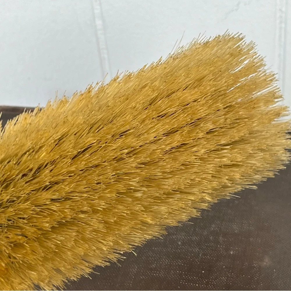 Antique Parisian Loonen Ivory Celluloid Vanity Brush (Unique Photo Holder)